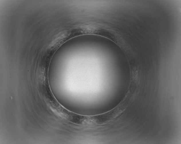 X0000078020599200610271236