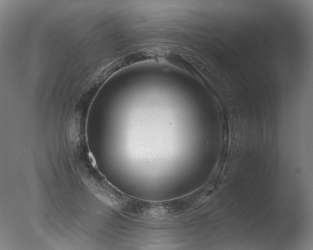 X0000078020600200610271236