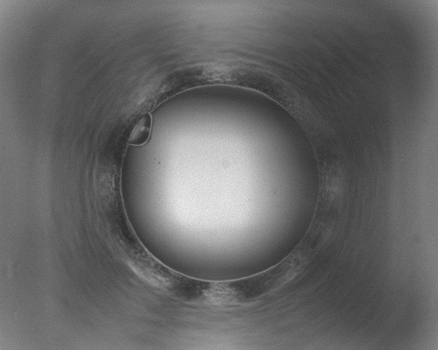 X0000078020603200610271236