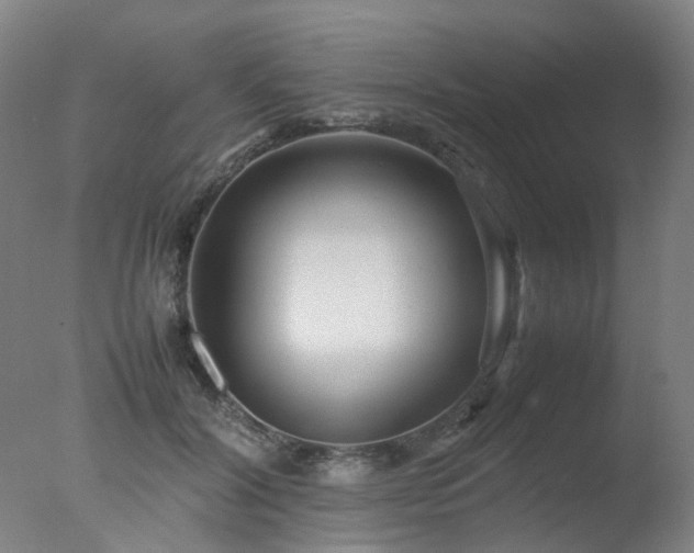 X0000078020604200610271236