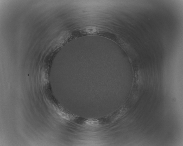 X0000078020606200610271236