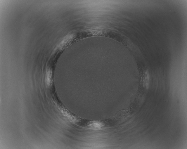 X0000078020610200610271236