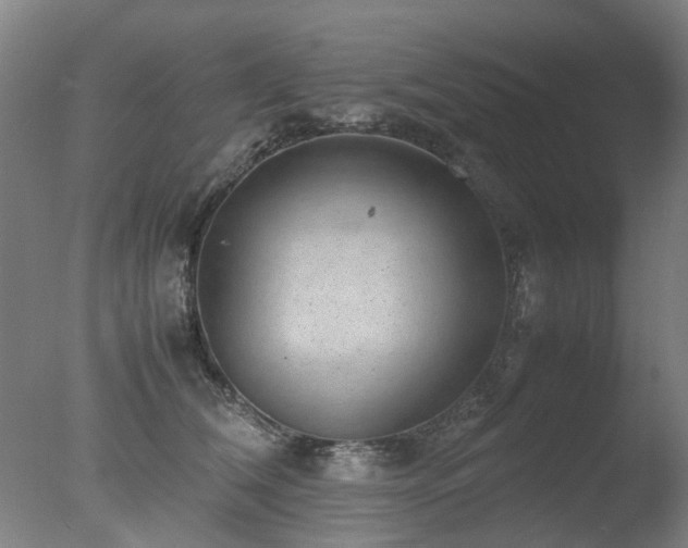 X0000078020612200610271235