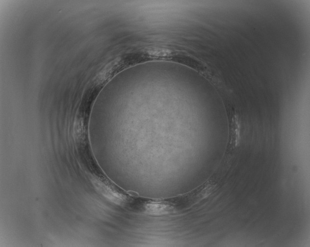 X0000078020614200610271235