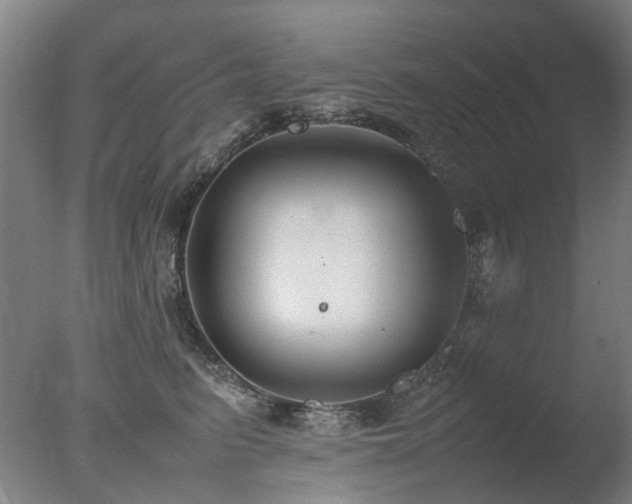 X0000078020615200610271235