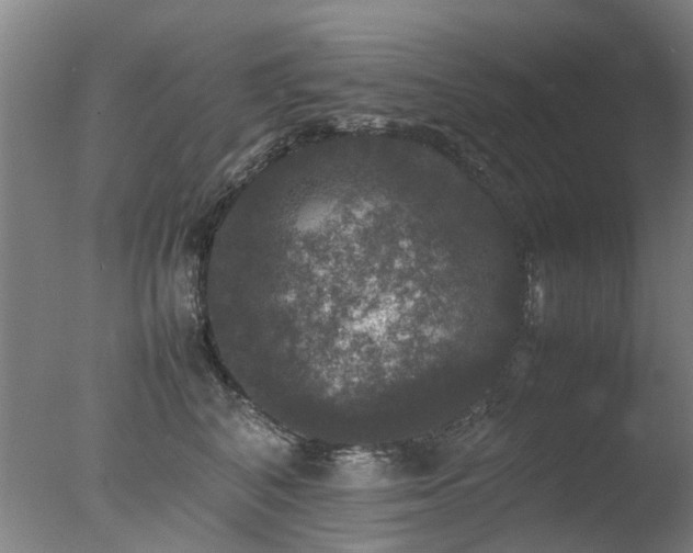 X0000078020616200610271235