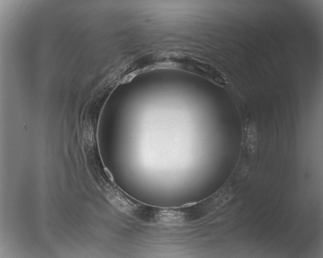 X0000078020617200610271235