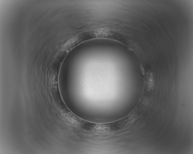 X0000078020619200610271235