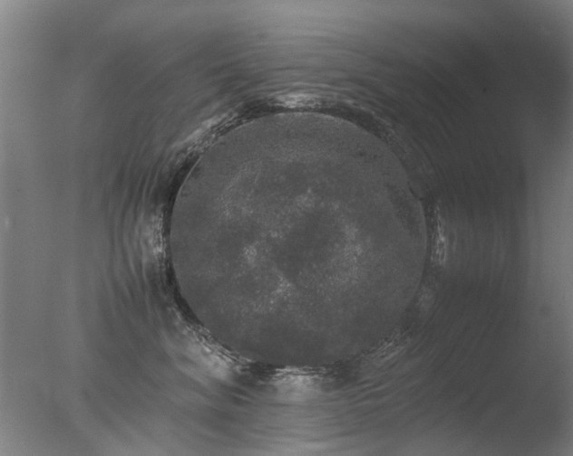 X0000078020620200610271235