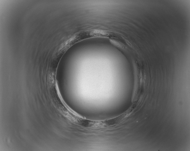 X0000078020621200610271235