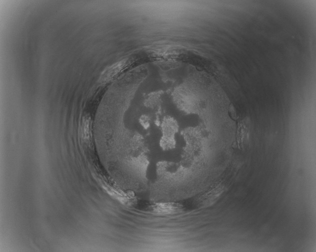 X0000078020623200610271235