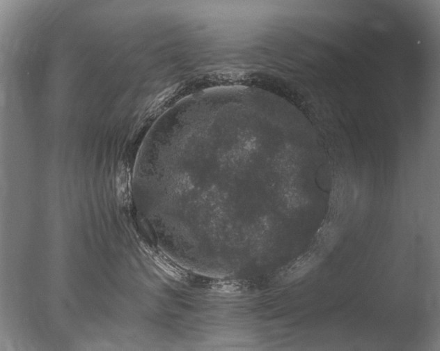 X0000078020624200610271235