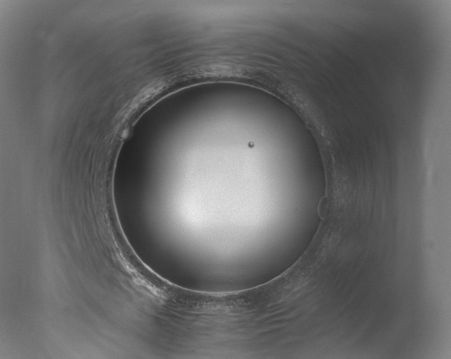 X0000078020625200610271234