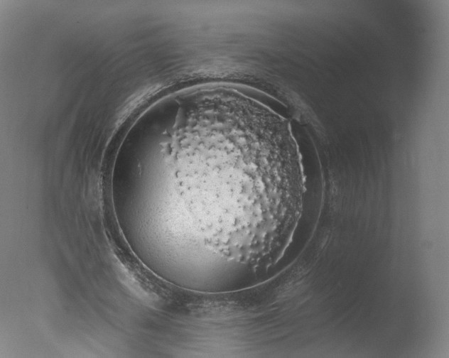 X0000078020626200610271234