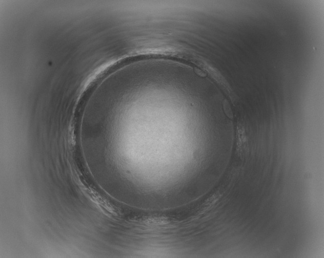 X0000078020628200610271235