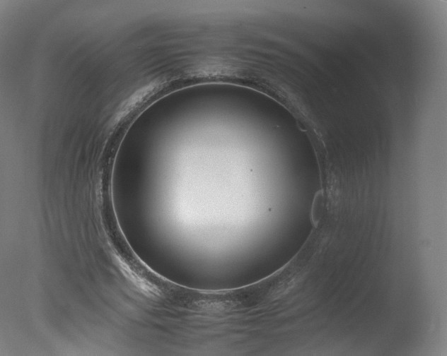 X0000078020629200610271235