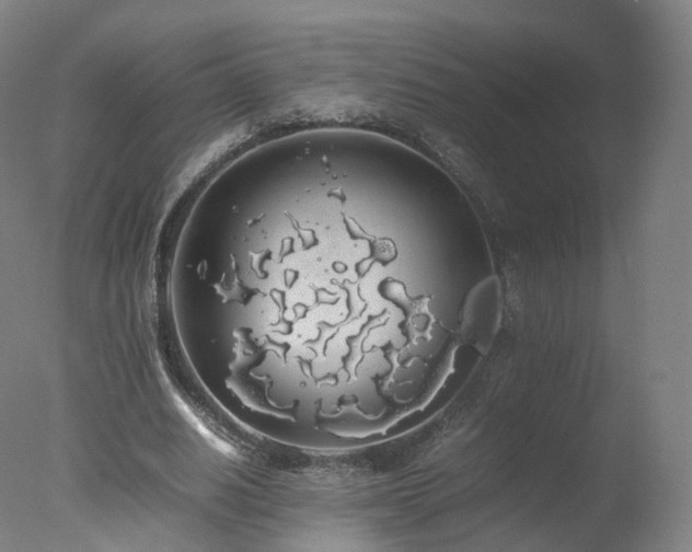 X0000078020630200610271235