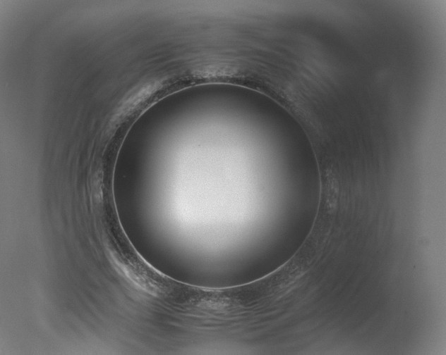 X0000078020631200610271235