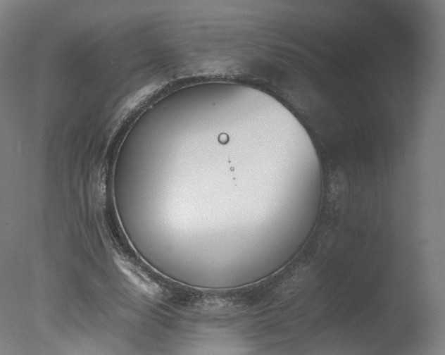 X0000078020632200610271235