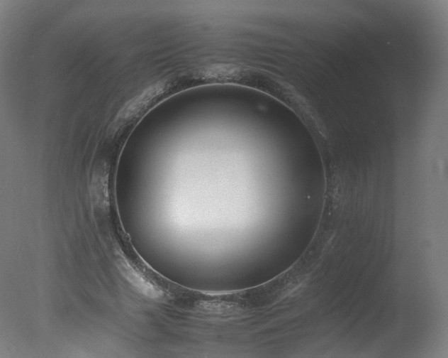 X0000078020633200610271235