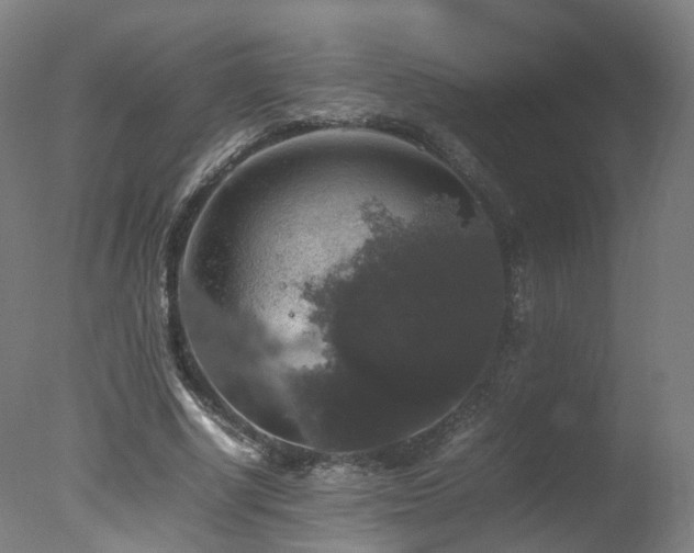 X0000078020634200610271235