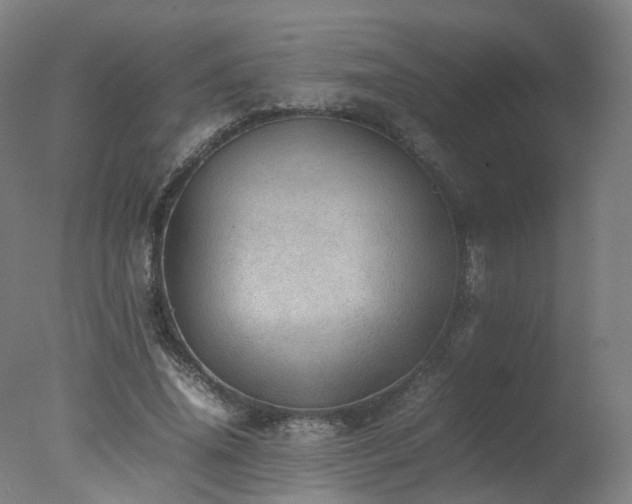 X0000078020636200610271235