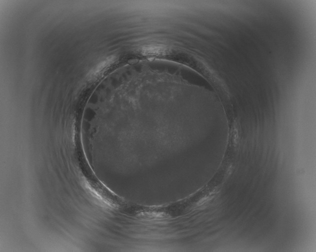 X0000078020637200610271235