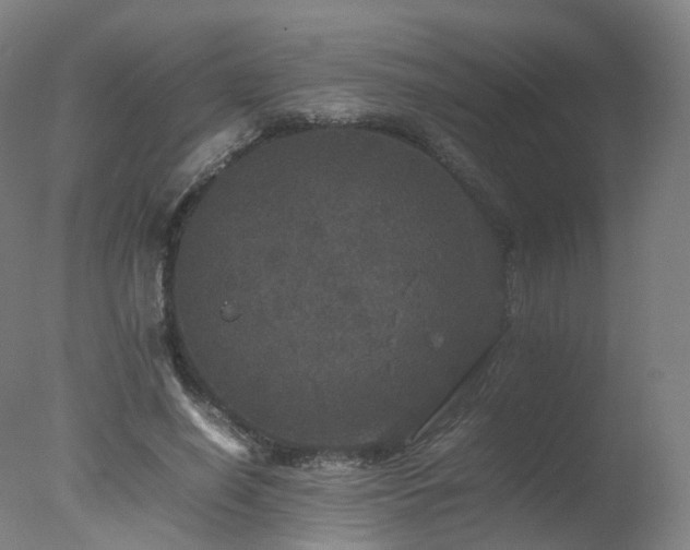 X0000078020638200610271235