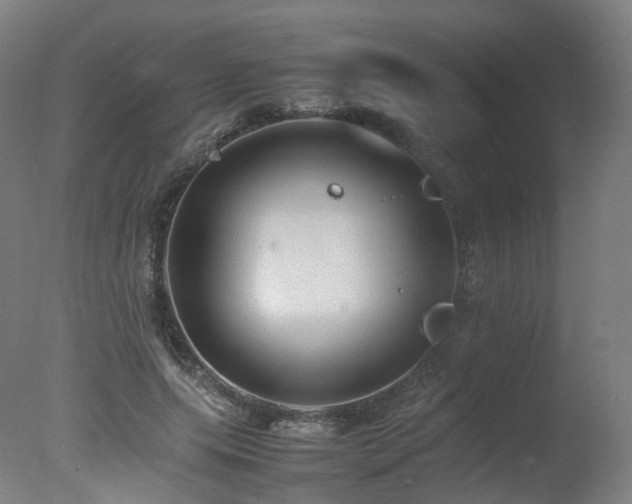 X0000078020639200610271235