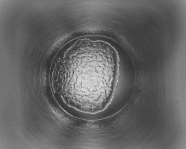 X0000078020640200610271235