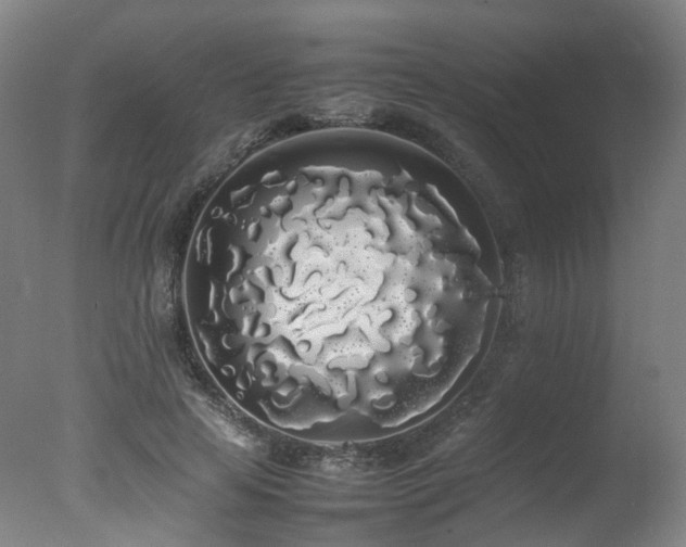 X0000078020641200610271235