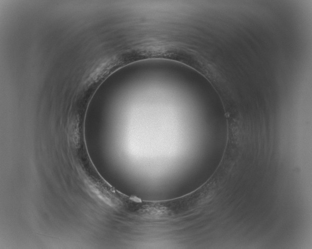 X0000078020642200610271235