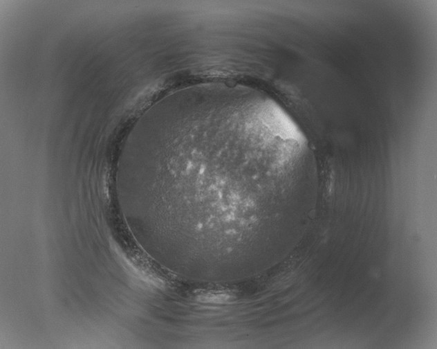 X0000078020643200610271235