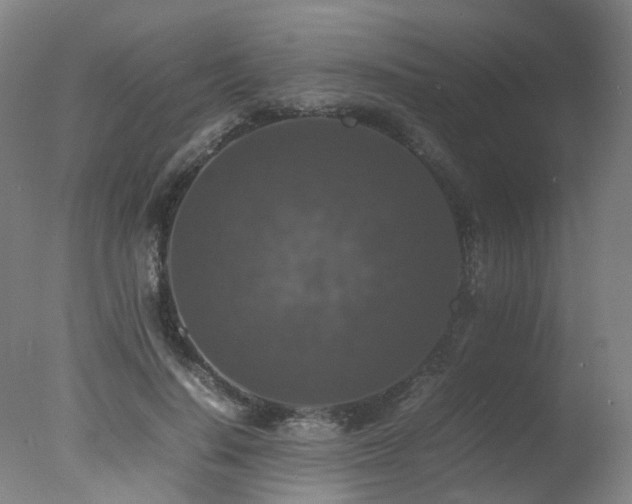 X0000078020644200610271235