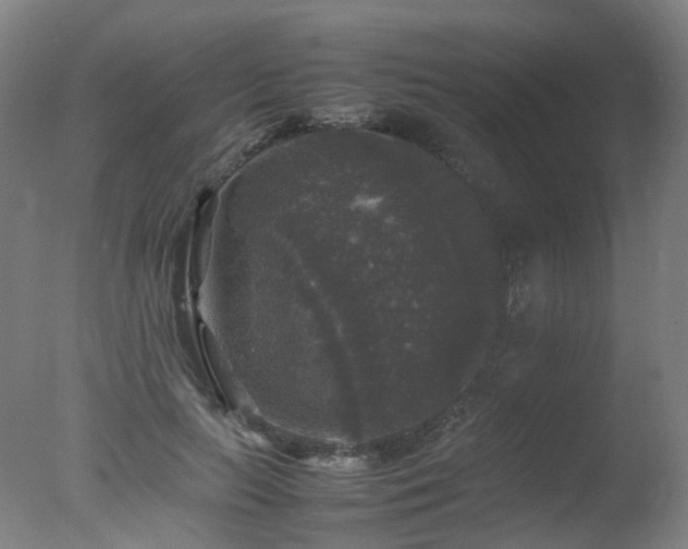 X0000078020647200610271235