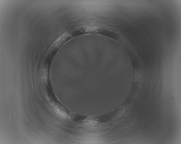 X0000078020648200610271235