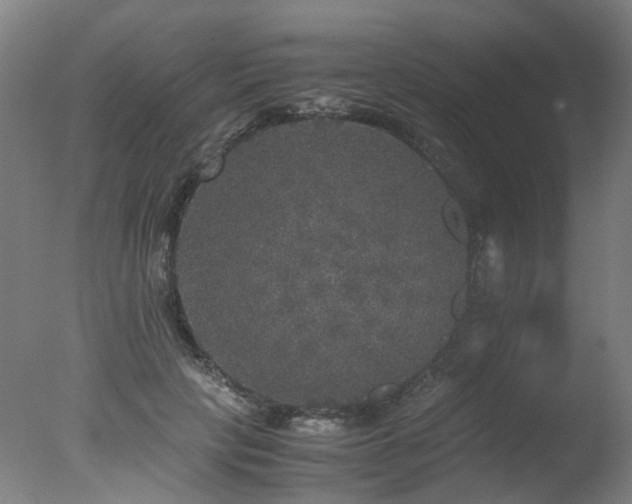 X0000078020649200610271235