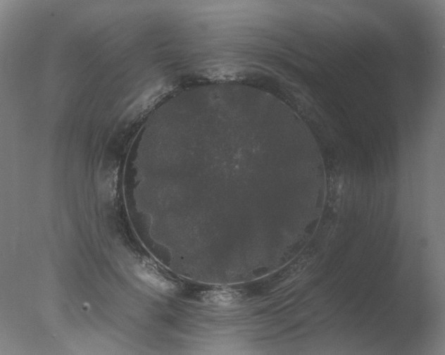 X0000078020652200610271235