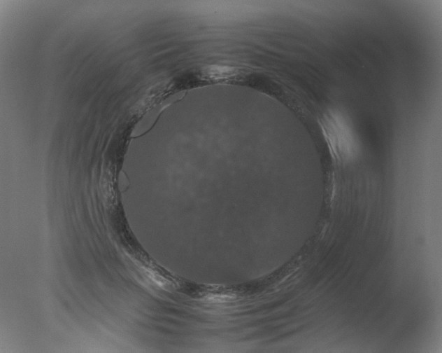 X0000078020653200610271235