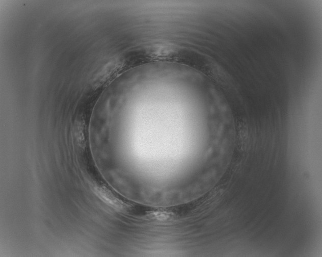 X0000078020654200610271235