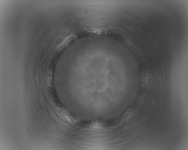 X0000078020656200610271235