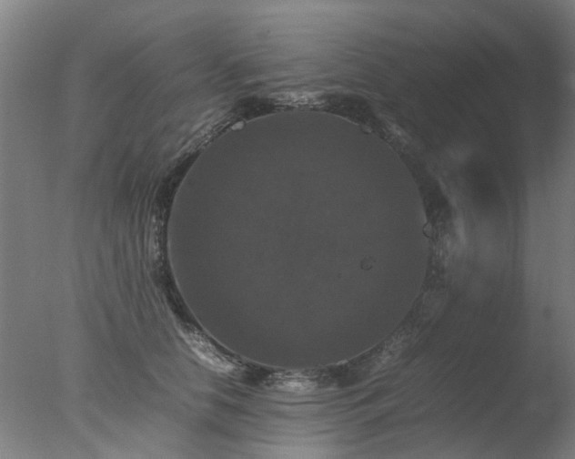 X0000078020658200610271235