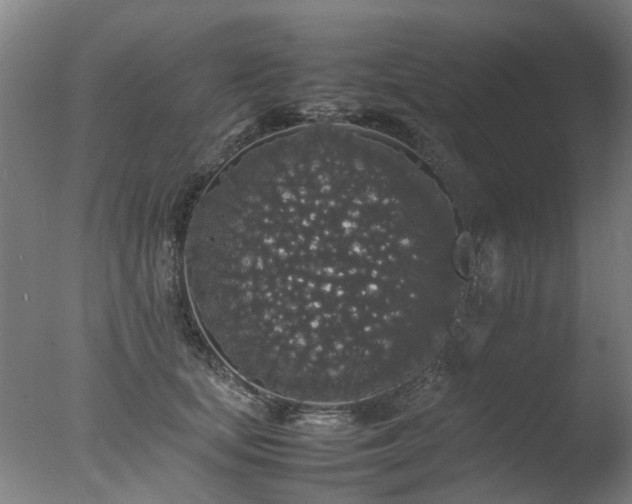 X0000078020659200610271235