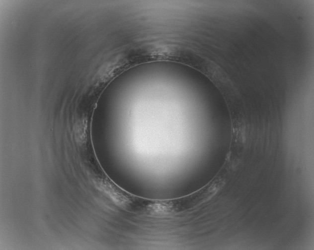 X0000078020660200610271235