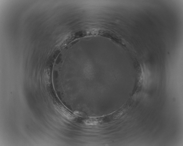 X0000078020661200610271235