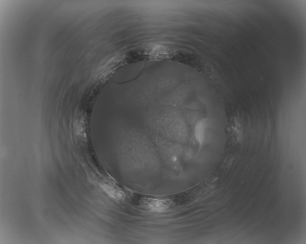 X0000078020663200610271235