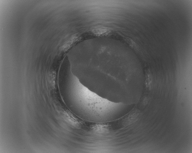 X0000078020664200610271235