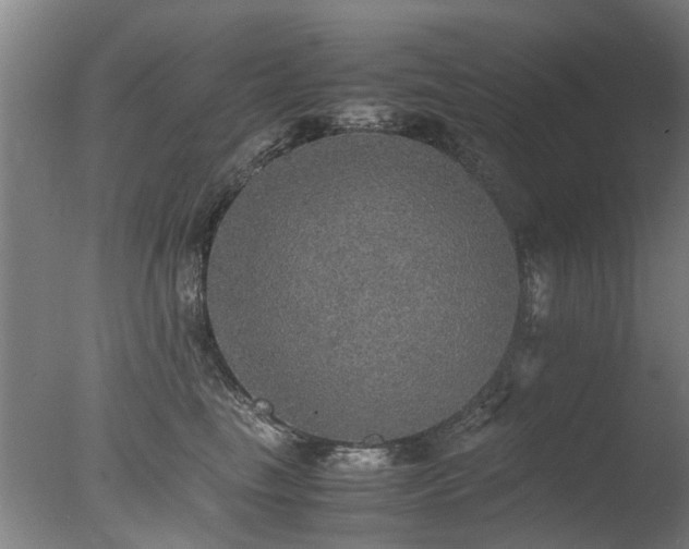 X0000078020665200610271235