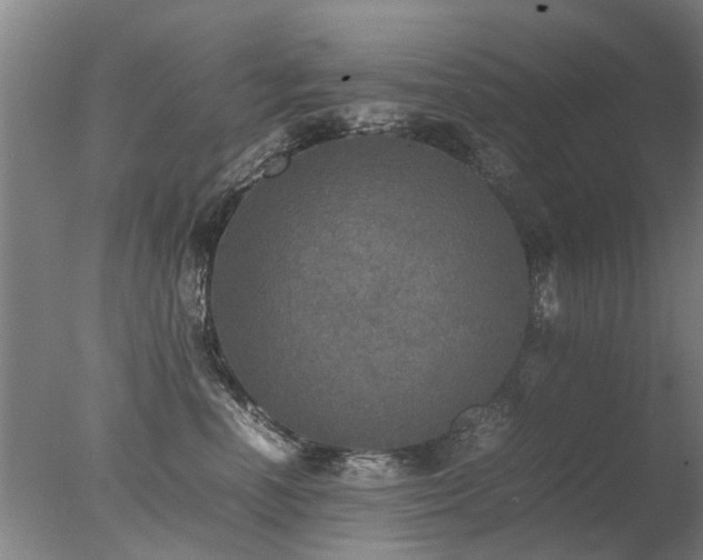 X0000078020666200610271235