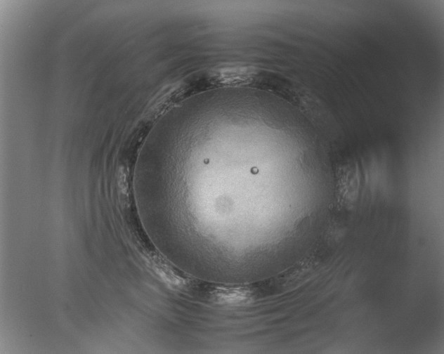 X0000078020667200610271235